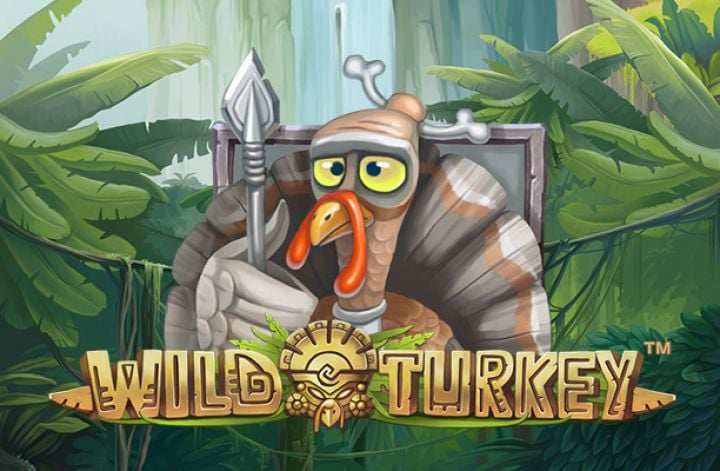 Wild Turkey Wild Turkey